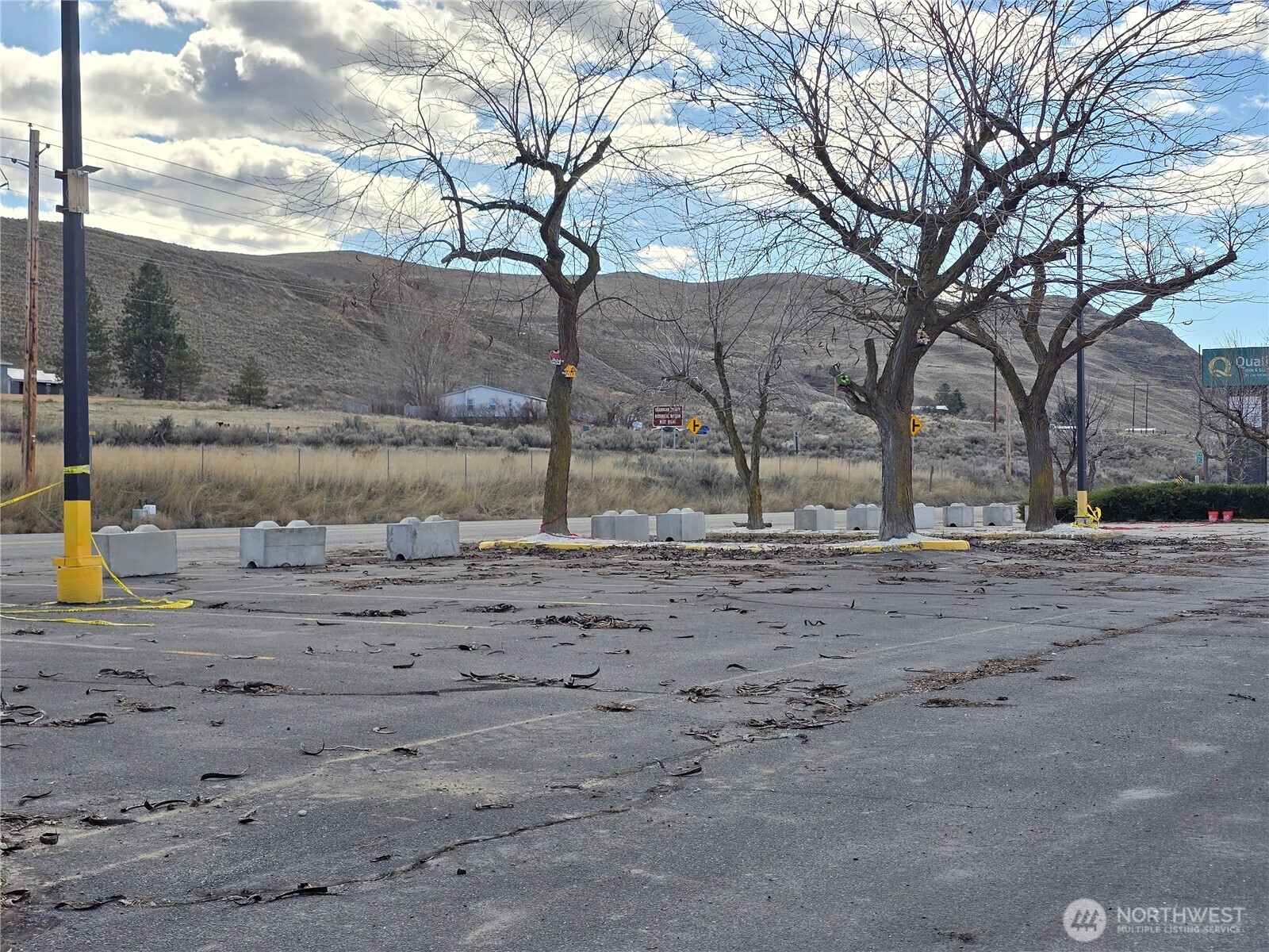 11 Apple Way Road Okanogan, WA 98840 - Photo 12 of 17 a view of a yard with a tree