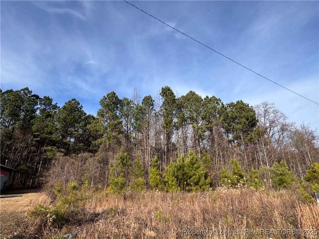 0 Tramway Road Sanford, NC 27332 - Photo 13 of 18