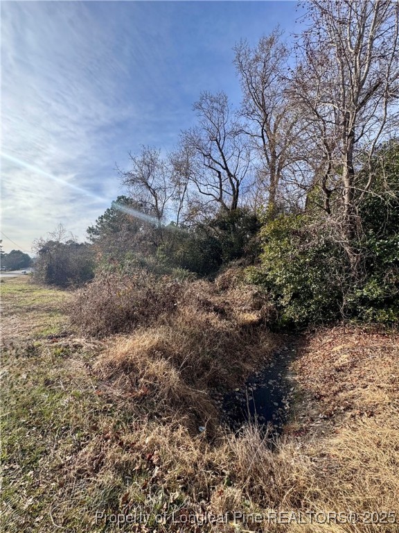 0 Tramway Road Sanford, NC 27332 - Photo 8 of 18