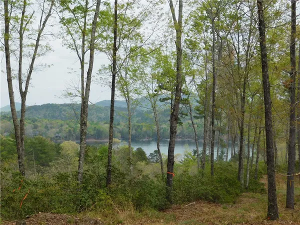$150,000 | Lot 1 Old Chapman Bridge Road, Salem, SC 29676