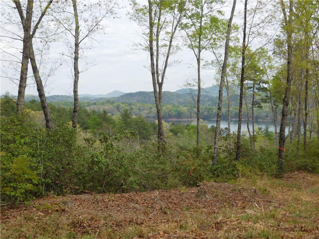 Lot 1 Old Chapman Bridge Road Salem, SC 29676 - Photo 2 of 7
