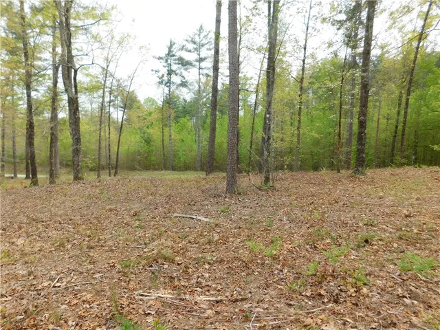 $150,000 | Lot 1 Old Chapman Bridge Road, Salem, SC 29676