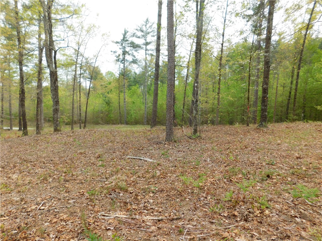 Lot 1 Old Chapman Bridge Road Salem, SC 29676 - Photo 4 of 7