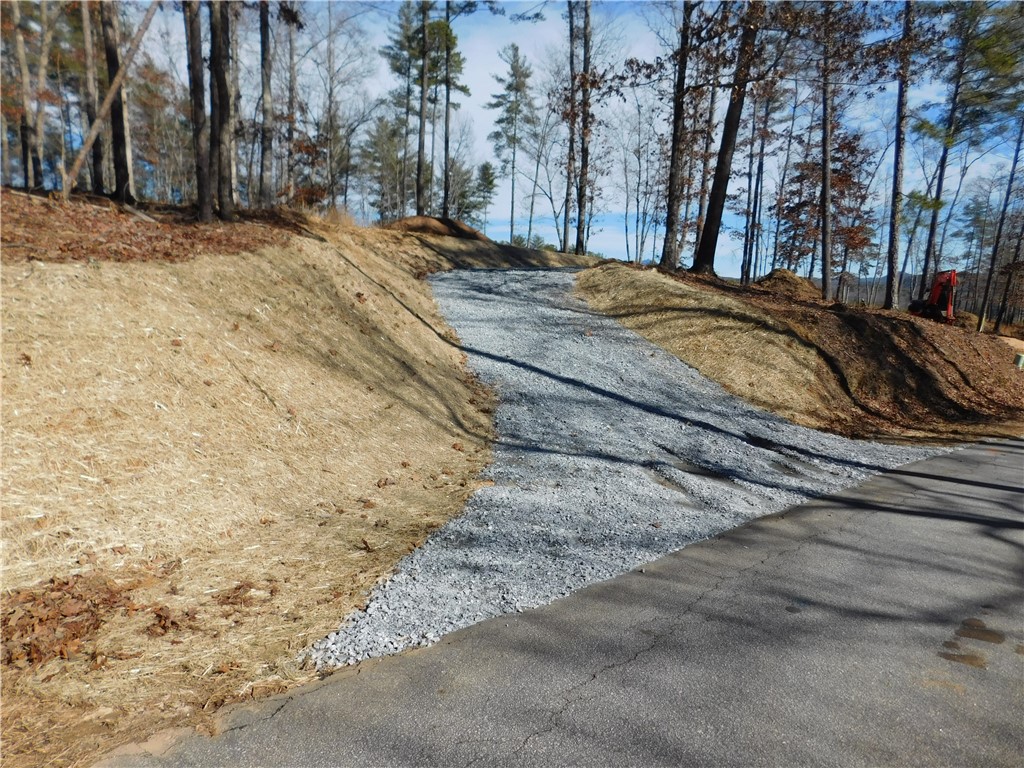 Lot 1 Old Chapman Bridge Road Salem, SC 29676 - Photo 5 of 7