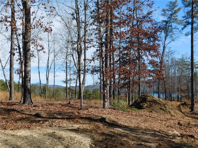 $150,000 | Lot 1 Old Chapman Bridge Road, Salem, SC 29676