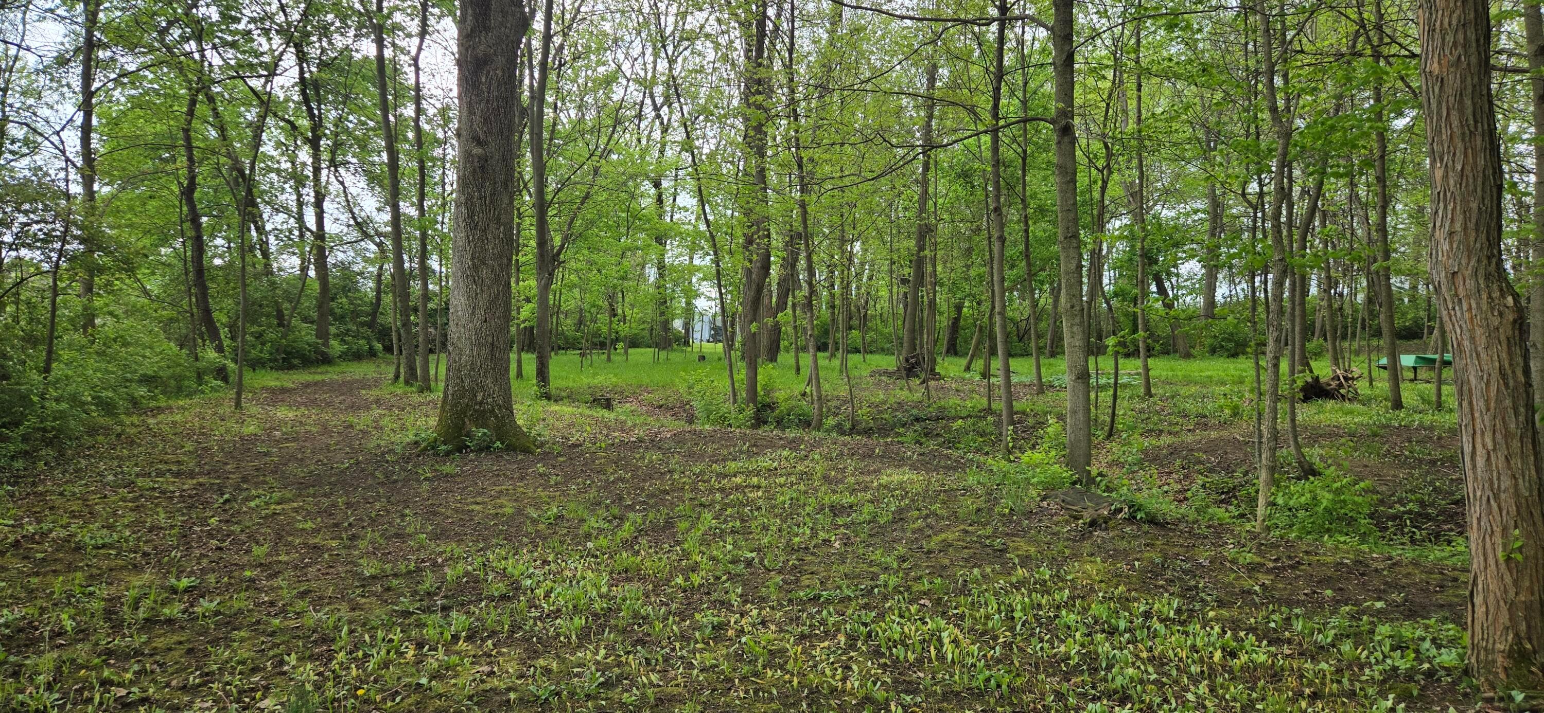 9421 Winchester Road Groveport, OH 43125 - Photo 48 of 55 1000006086