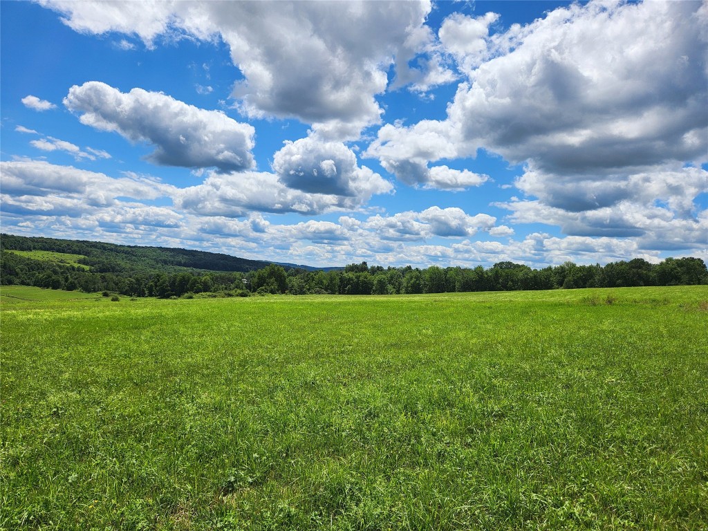 44 English Hill Road Whitney Point, NY 13862 - Photo 1 of 4