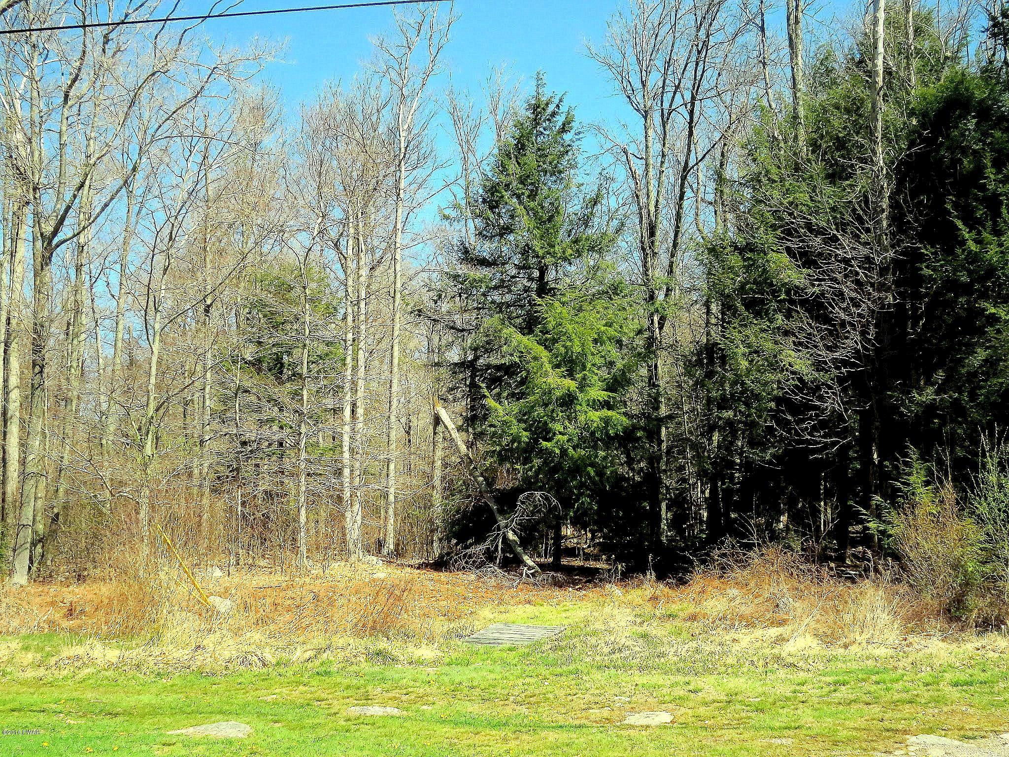 228 North Shore Road Hawley, PA 18428 - Photo 24 of 24