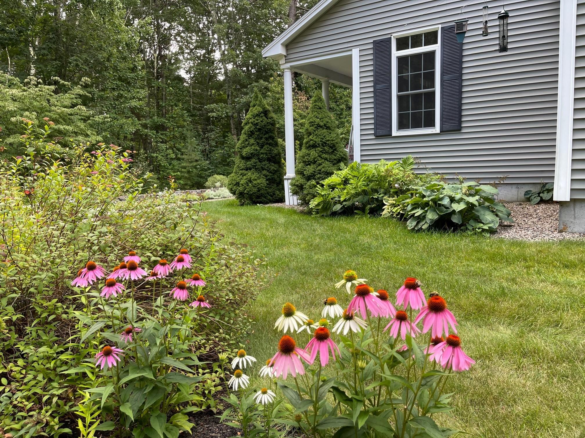 52 Maguire Road Kennebunk, ME 04043 - Photo 59 of 65 Many perennials