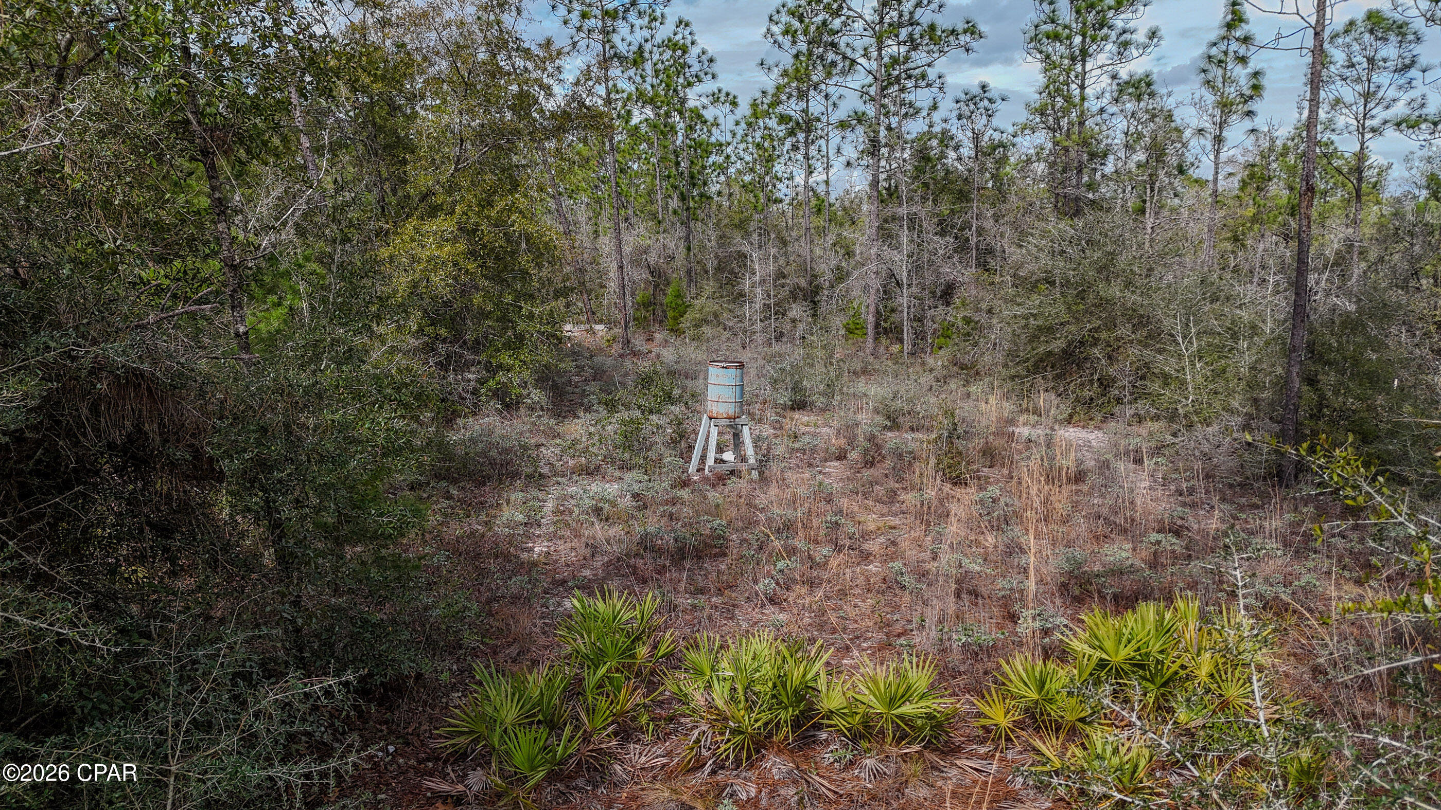 23588 Lamont Road Fountain, FL 32438 - Photo 26 of 48