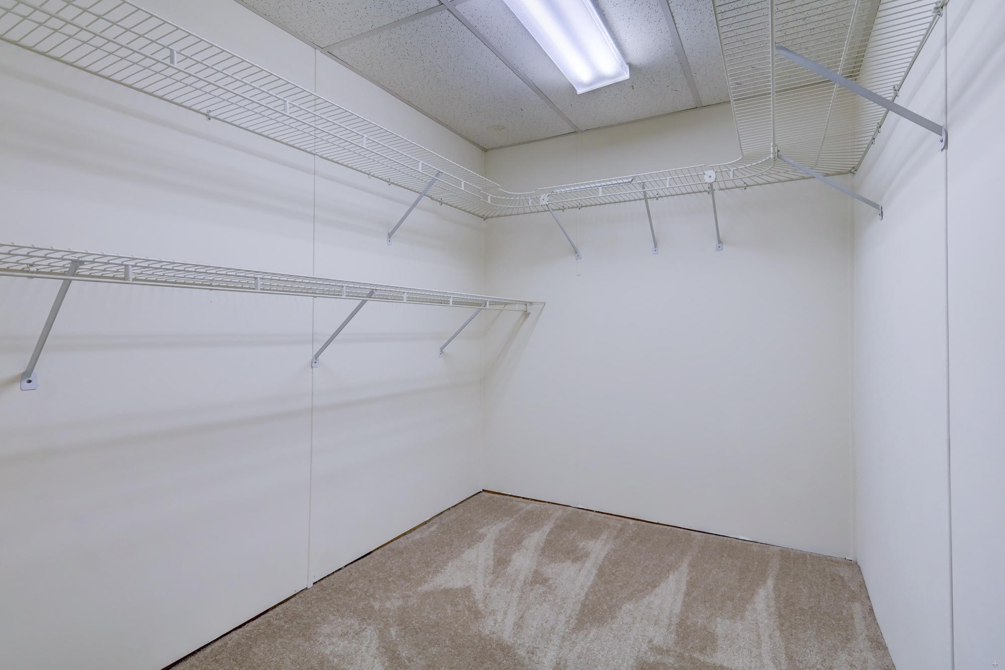 1521 Duncan Road Knoxville, TN 37919 - Photo 21 of 32 Gallery Image 21