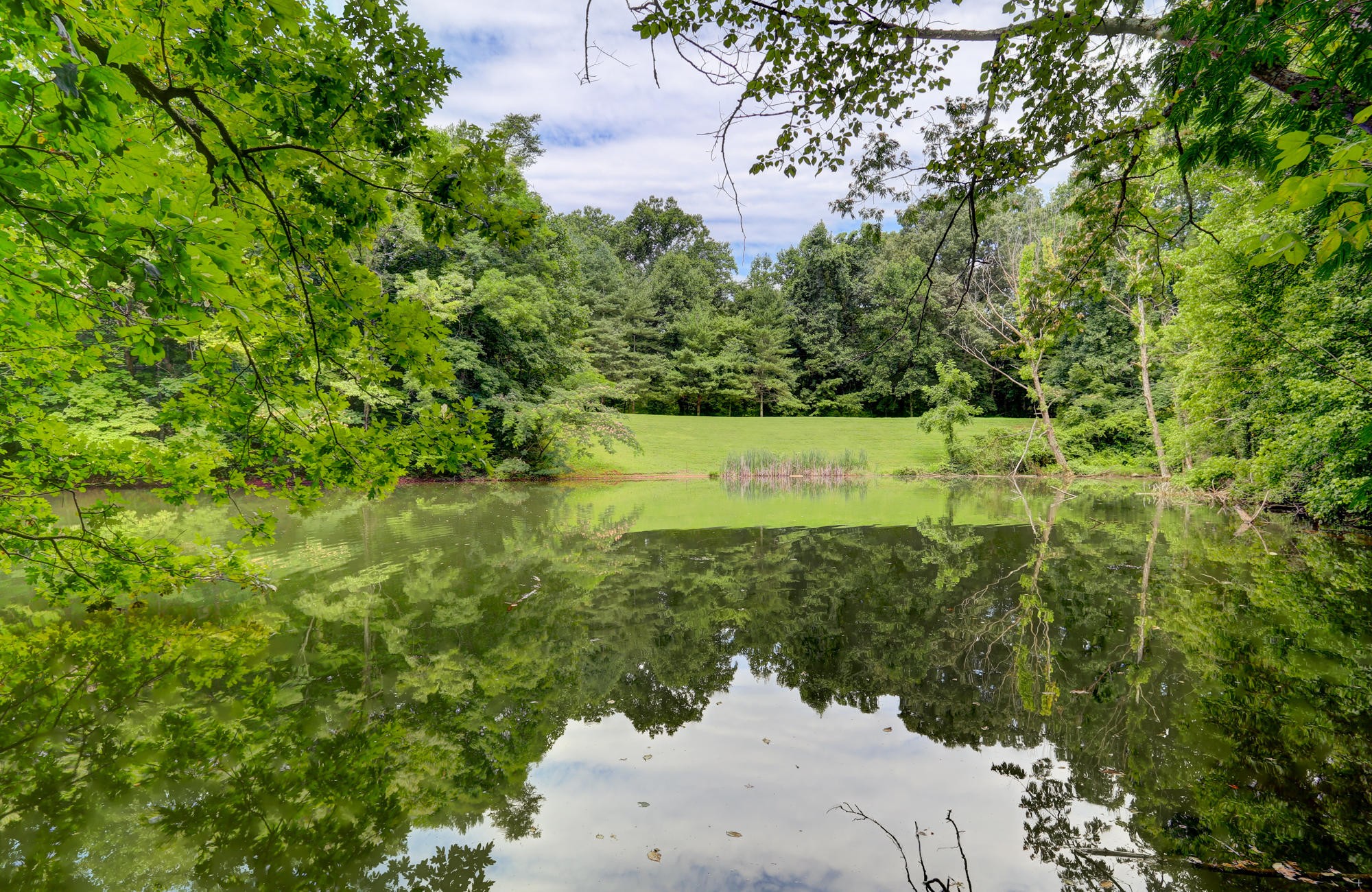 1521 Duncan Road Knoxville, TN 37919 - Photo 29 of 32 Gallery Image 29