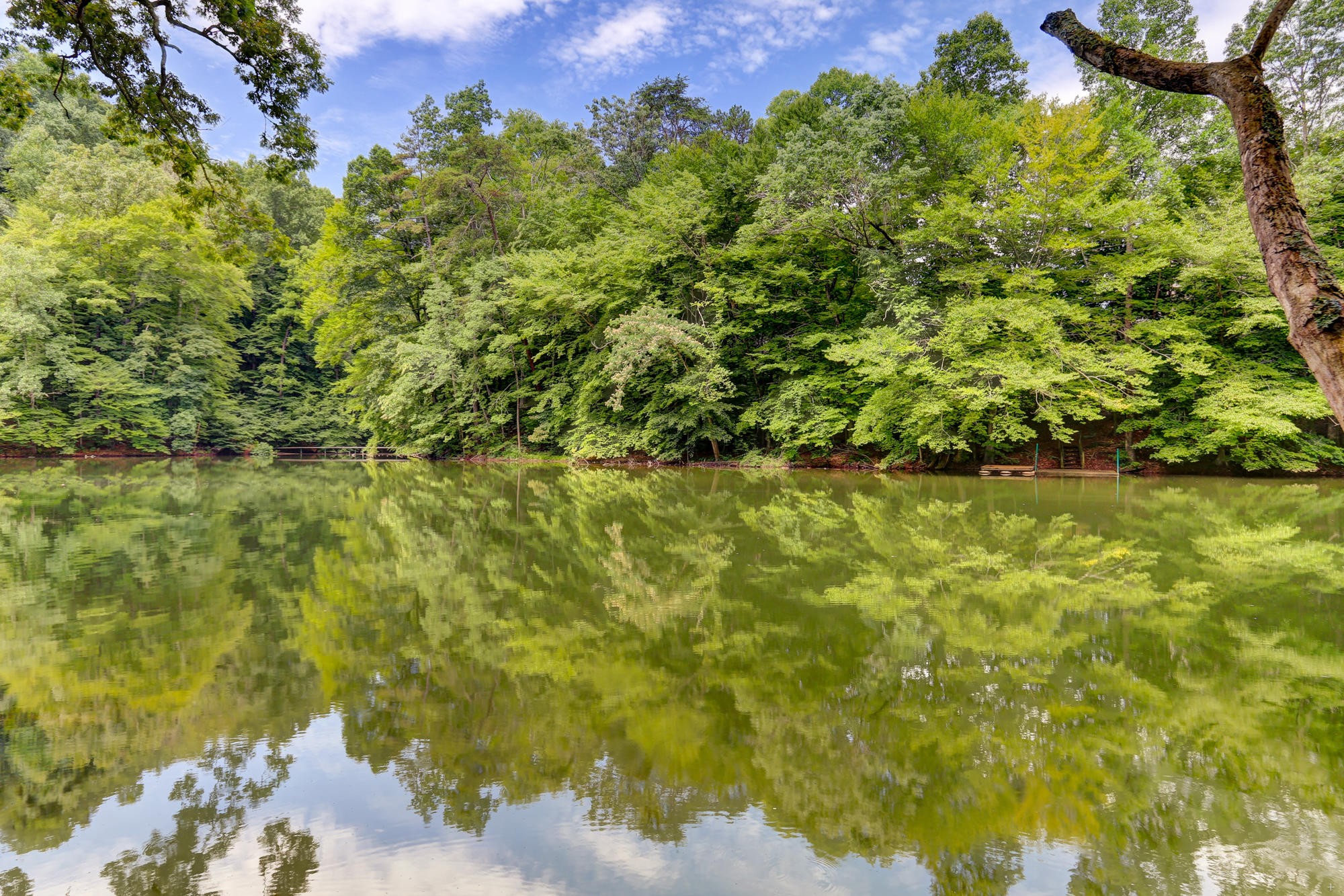 1521 Duncan Road Knoxville, TN 37919 - Photo 3 of 32 Gallery Image 3