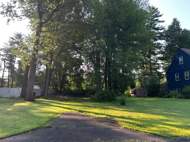 a view of swimming pool with large trees and a big yard with swimming pool and trees in the background