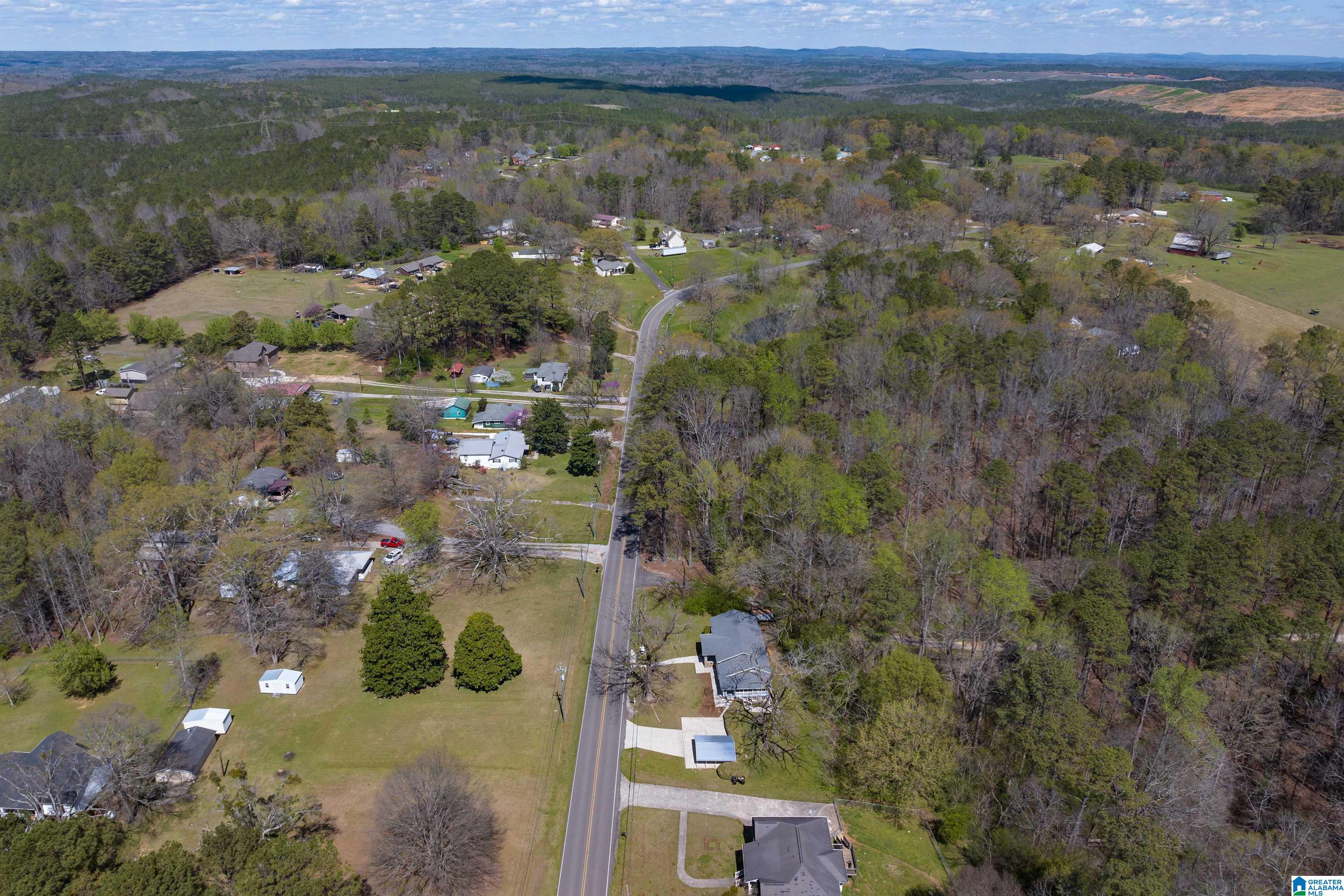 3645 Mt Olive Road Mount Olive, AL 35117 - Photo 33 of 42