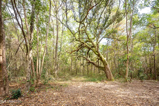 $1,500,000 | 132 Pine Drive, Ocean Springs, MS 39564