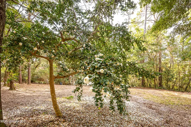 $1,500,000 | 132 Pine Drive, Ocean Springs, MS 39564