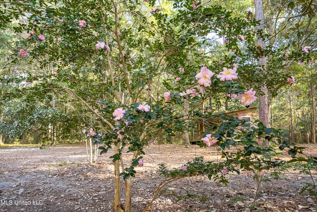 $1,500,000 | 132 Pine Drive, Ocean Springs, MS 39564