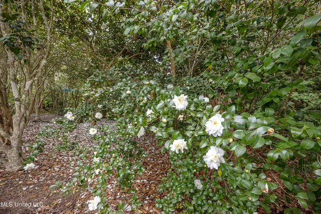 $1,500,000 | 132 Pine Drive, Ocean Springs, MS 39564