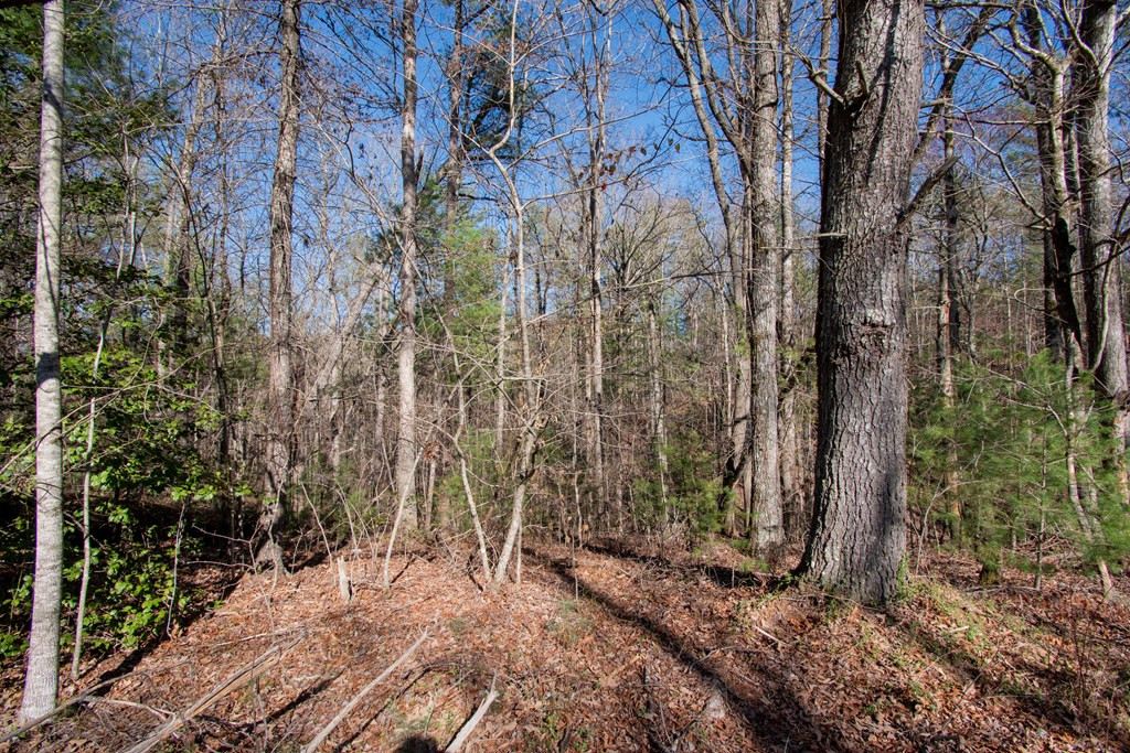 0 Old Forge Road Murphy, NC 28906 - Photo 4 of 7 Gallery Image 4
