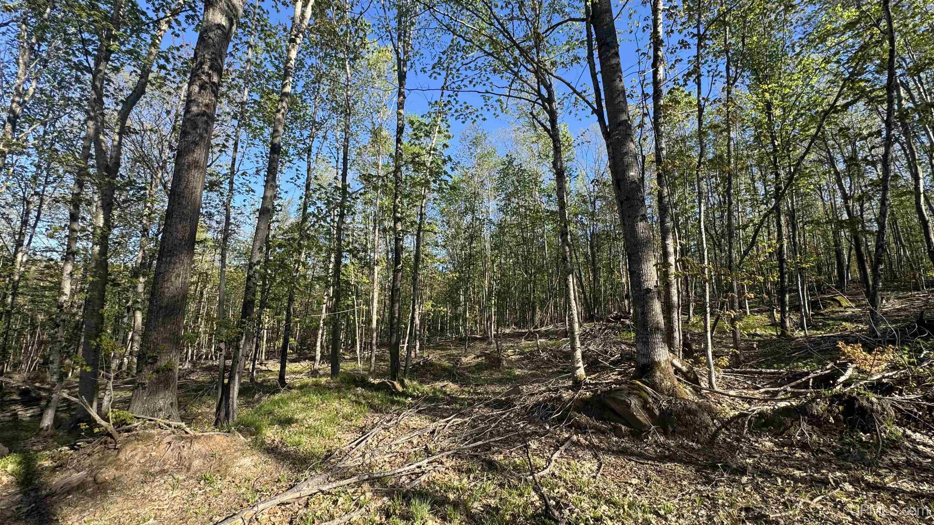 Off Off Hoist Road Negaunee, MI 49866 - Photo 39 of 45