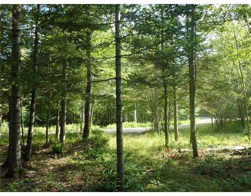 Lot 6 Nicolin Road Ellsworth, ME 04605 - Photo 2 of 9 Land/Lot.