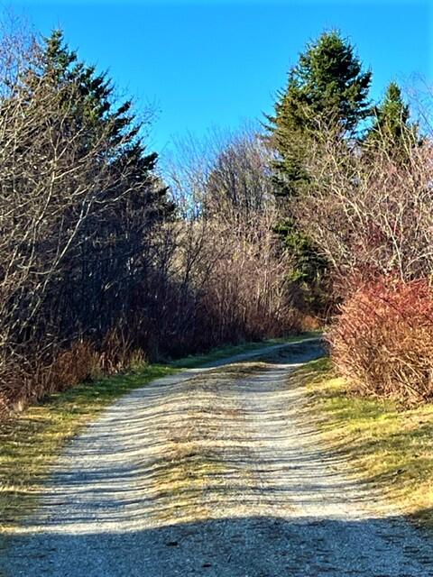 38 Clark Point Road Tremont, ME 04612 - Photo 30 of 34 Wall 11