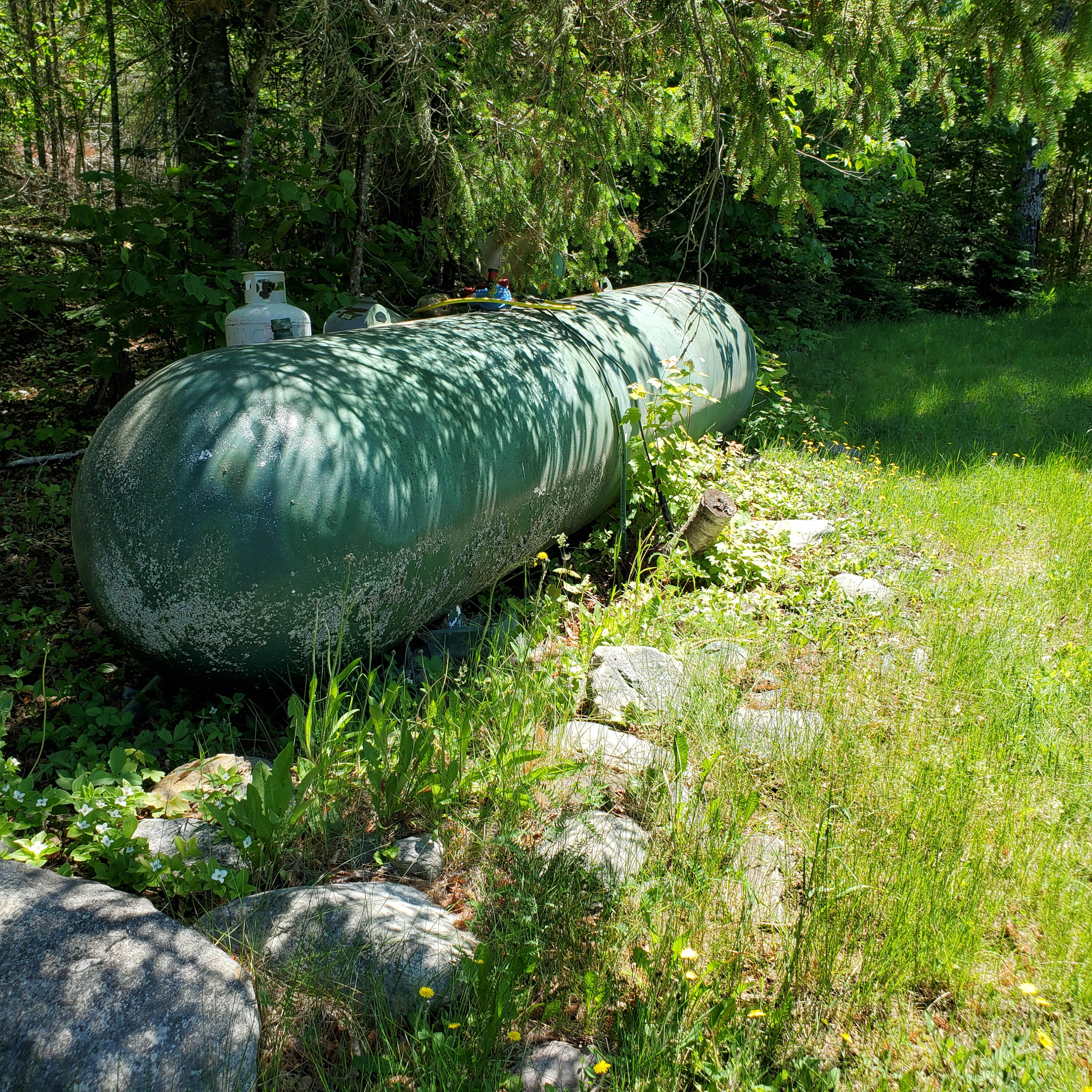 0 Smith Brook Road Oxbow, ME 04764 - Photo 31 of 33 20210609_114412