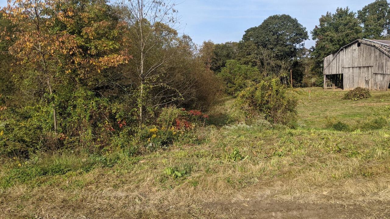 2128 Taylor School Road London, KY 40741 - Photo 13 of 26 1