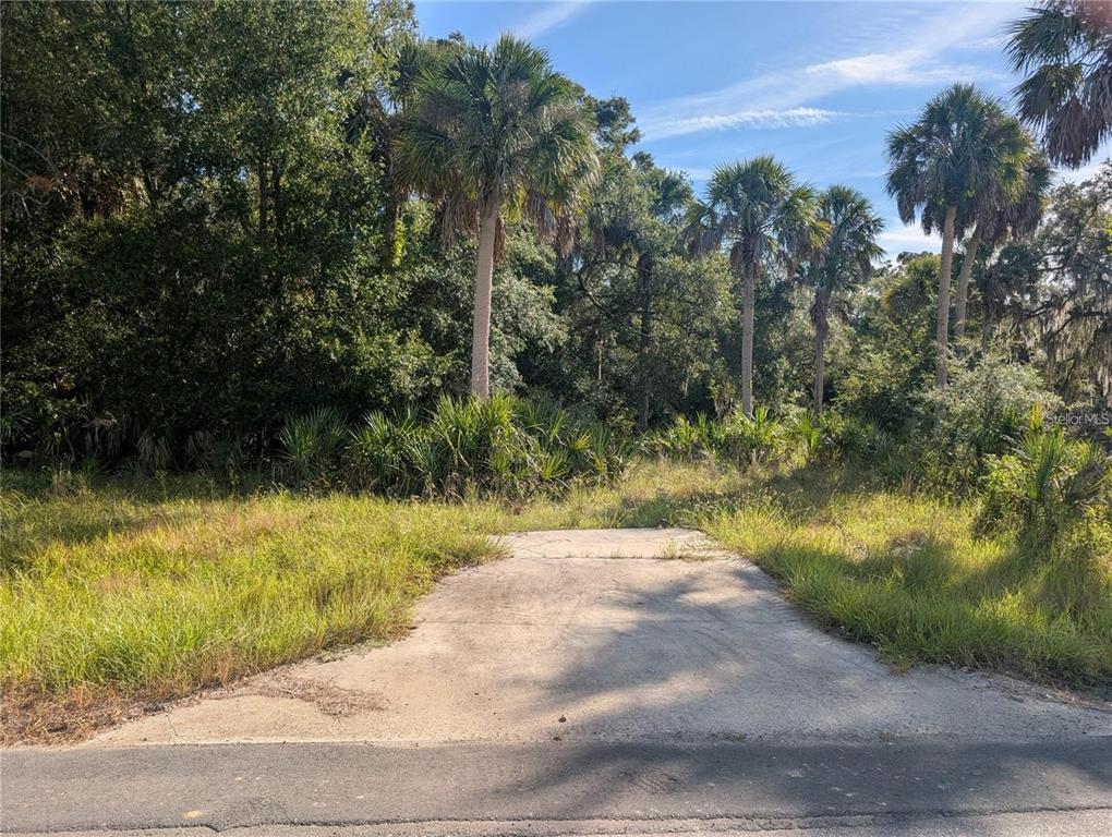 11009 North Withla Bluff Point Inglis, FL 34449 - Photo 10 of 14