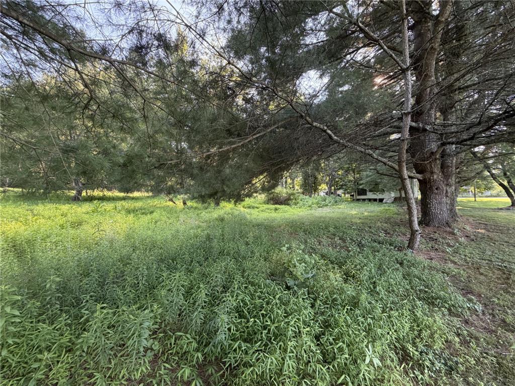 730 Ridge Road Shickshinny, PA 18655 - Photo 21 of 44 A tranquil clearing among towering trees offers a private, verdant setting for your future home.