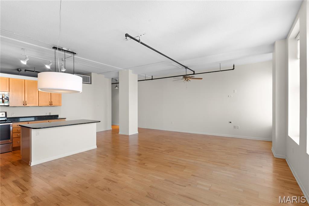 1501 Locust Street, Unit 909 St. Louis, MO 63103 - Photo 9 of 33