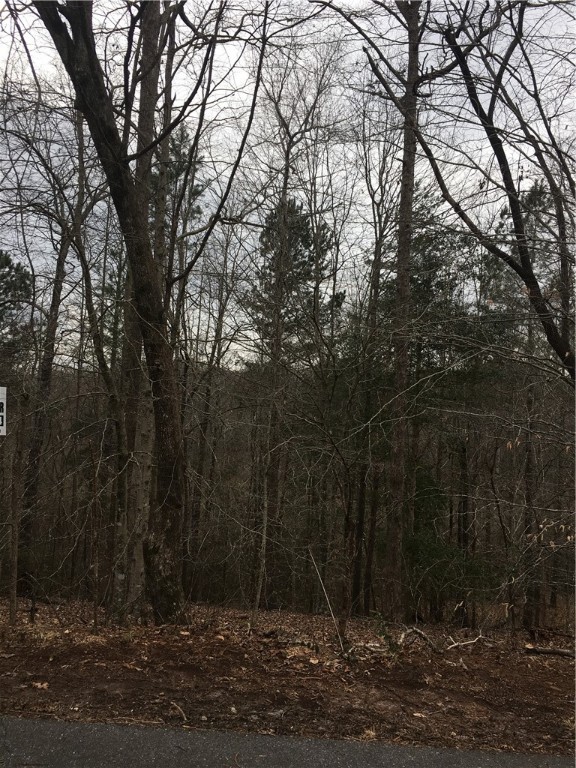 Lot 56 Fox Run Road Walhalla, SC 29691 - Photo 3 of 3 Gallery Image 3