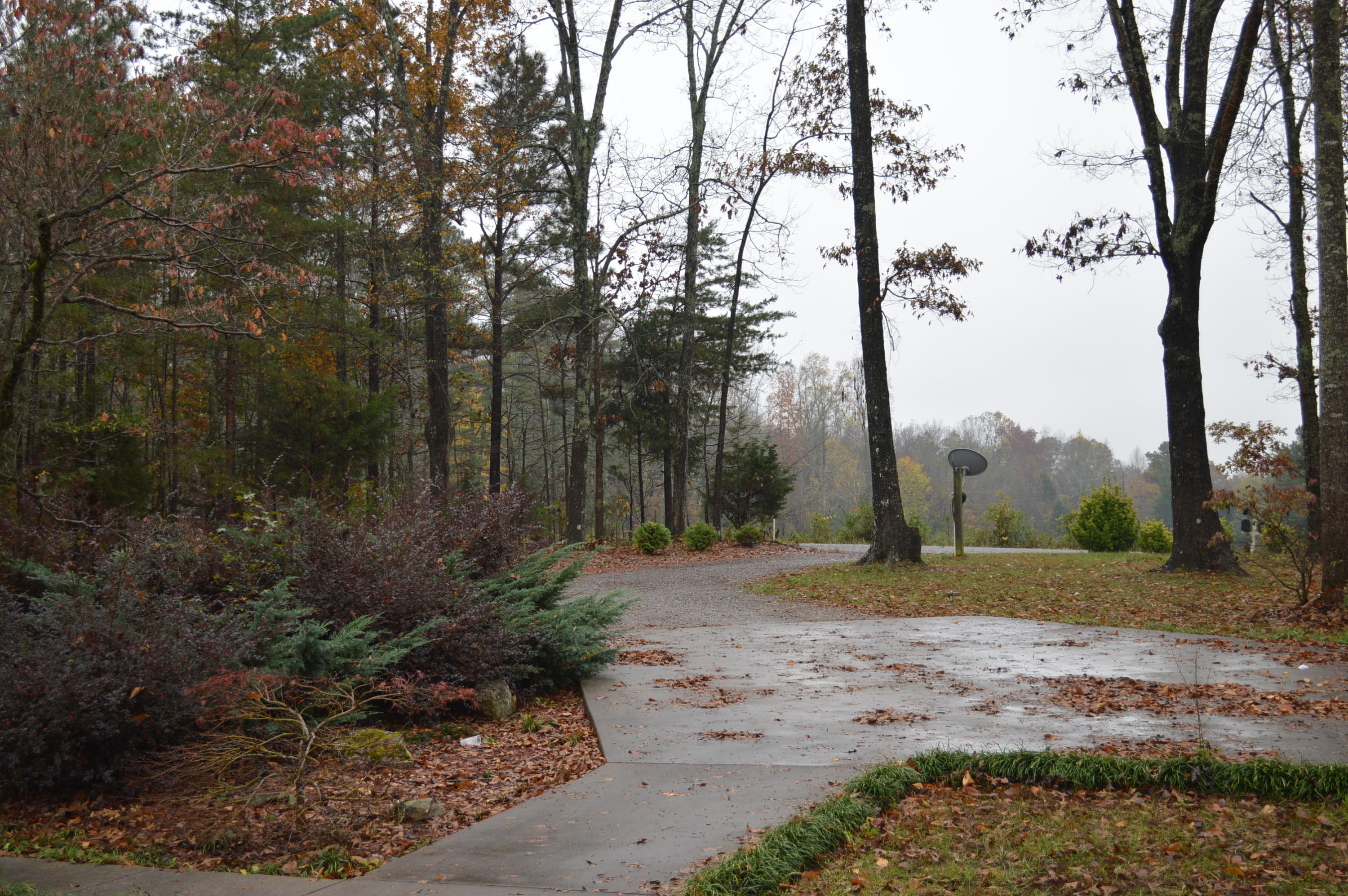 289 Brook Bryson Road Southeast Cleveland, TN 37311 - Photo 18 of 26 Driveway