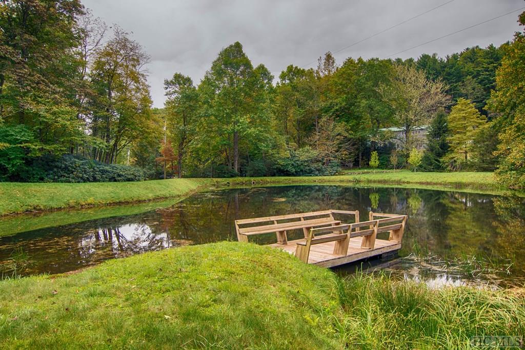 21 Cave Road Highlands, NC 28741 - Photo 5 of 47 Gallery Image 5