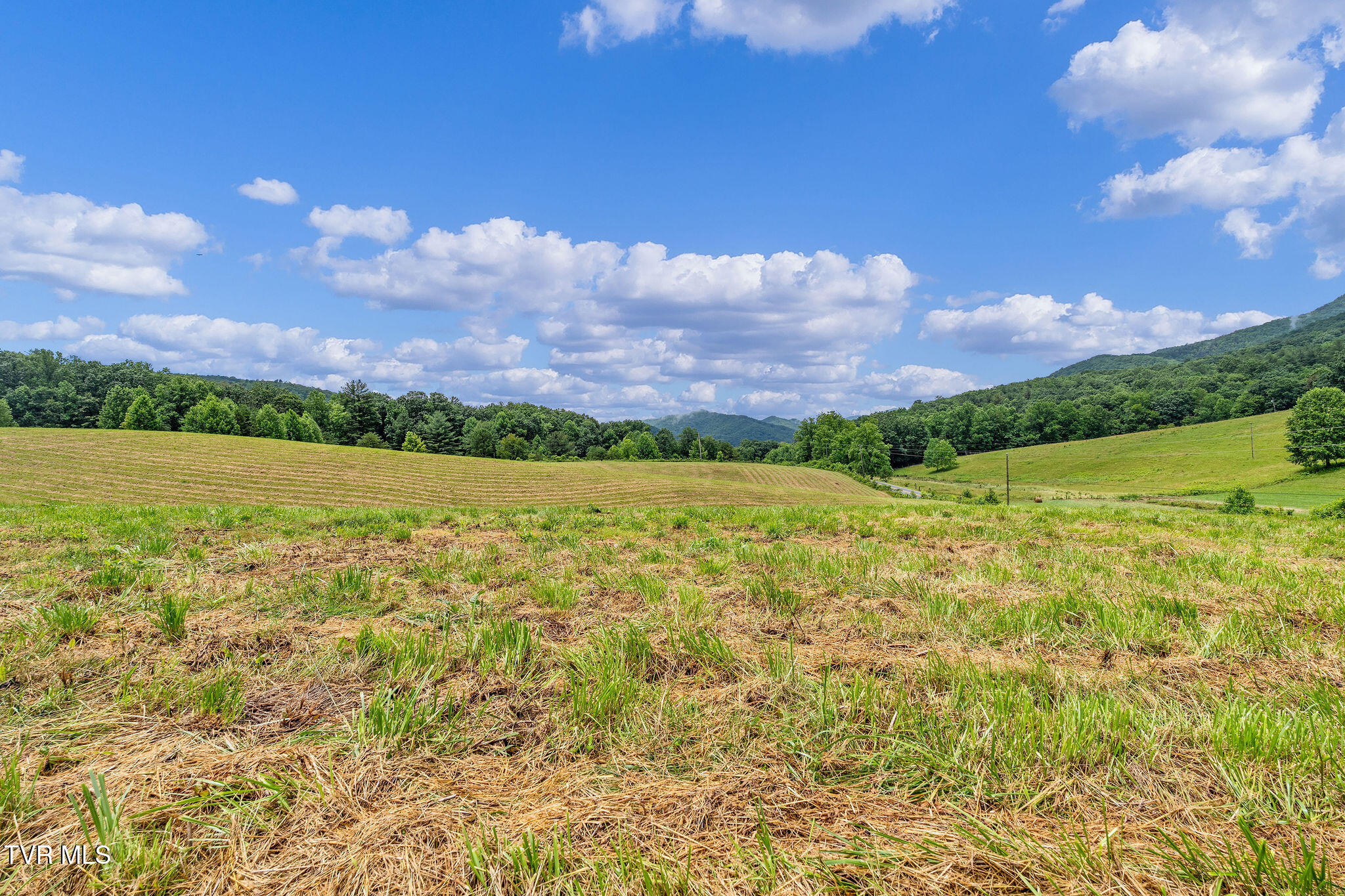 Tbd Houston Valley Road Greeneville, TN 37743 - Photo 11 of 28 DSC03705