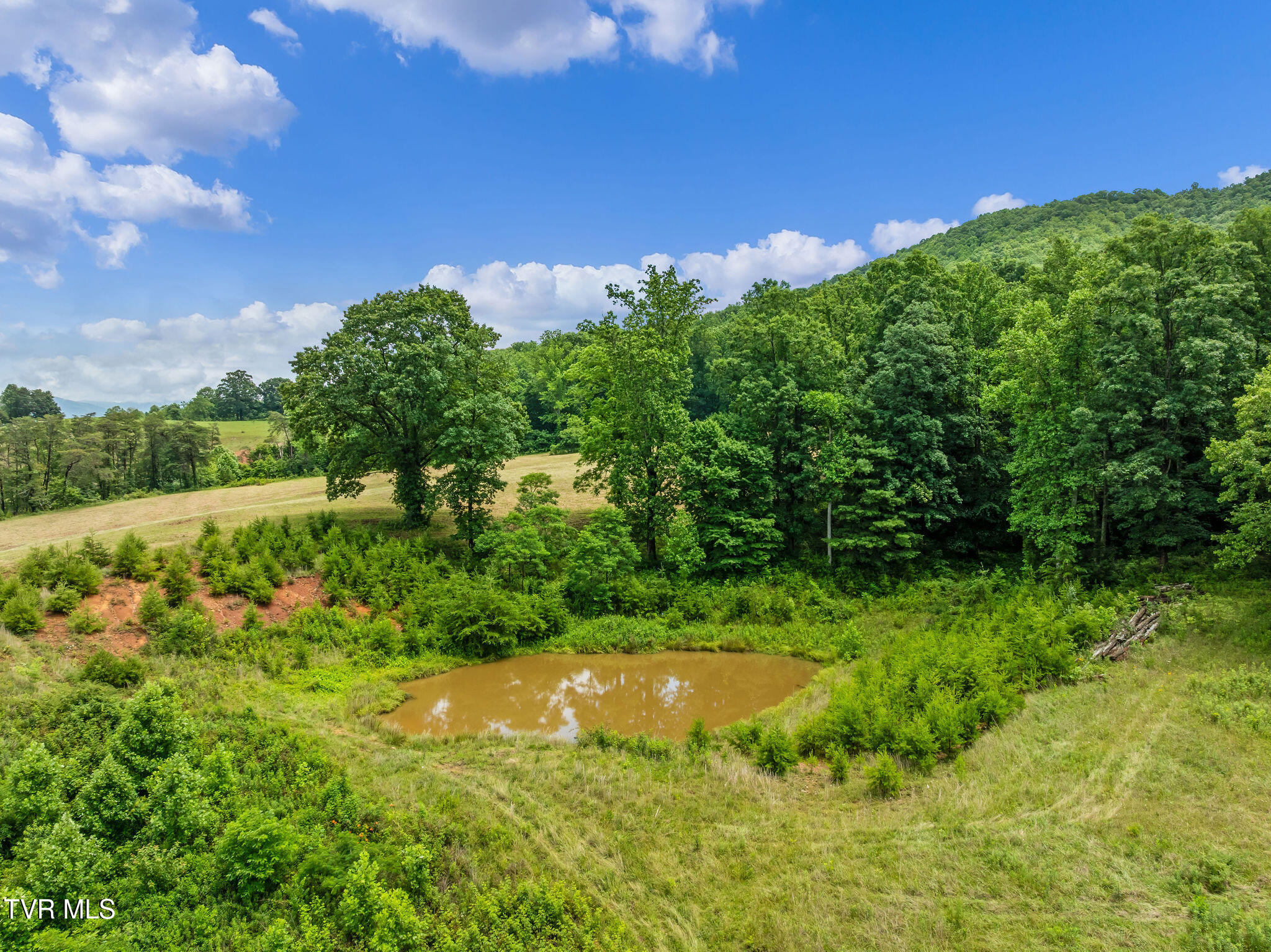 Tbd Houston Valley Road Greeneville, TN 37743 - Photo 9 of 28 DJI_0059