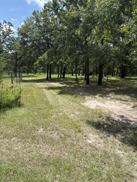 25660 Cemetery Road Bedias, TX 77831 - Photo 6 of 12 Gallery Image 6