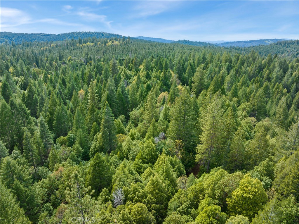 63 Binet Road Clipper Mills, CA 95930 - Photo 22 of 25 a view of a lush green forest with trees and some houses