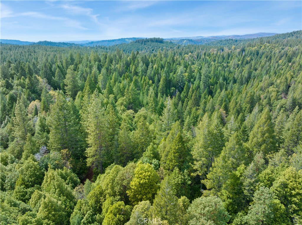 63 Binet Road Clipper Mills, CA 95930 - Photo 23 of 25 a view of a lush green forest with a houses