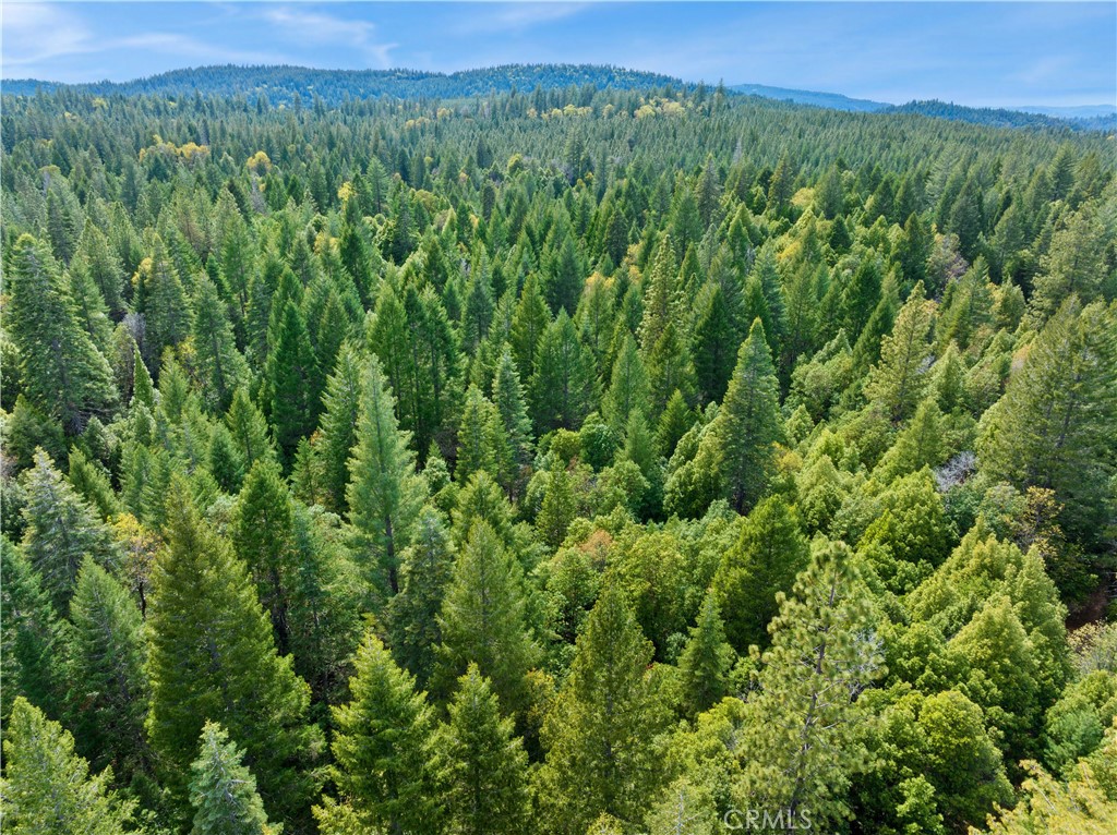 63 Binet Road Clipper Mills, CA 95930 - Photo 24 of 25 a view of a lush green forest with trees and some houses