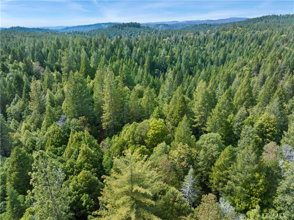 63 Binet Road Clipper Mills, CA 95930 - Photo 25 of 25 a view of a lush green forest with a mountain in the background