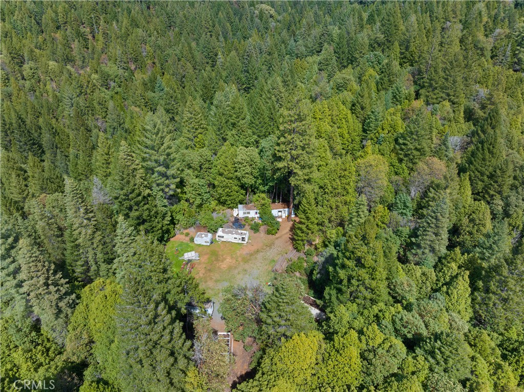 63 Binet Road Clipper Mills, CA 95930 - Photo 7 of 25 a view of a forest with a tree