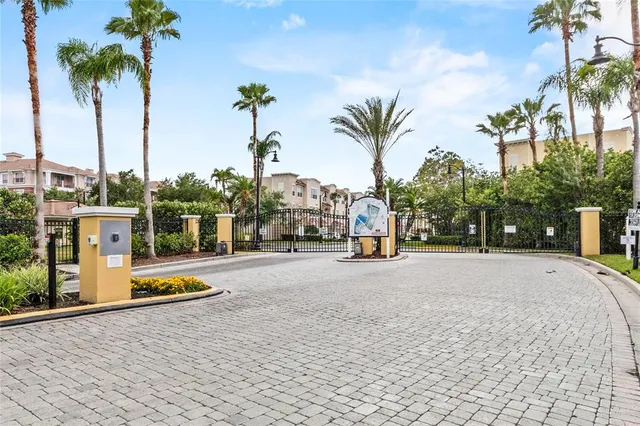 a palm tree sitting on the side of a street