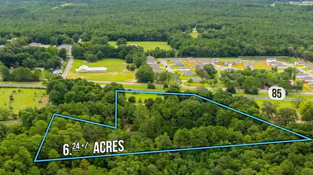 a view of a lush green field with lots of bushes