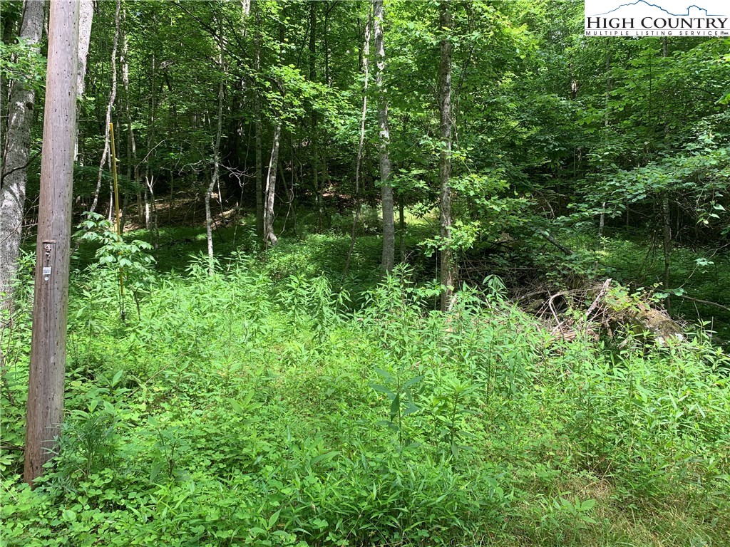 2558 Sink Valley Road Butler, TN 37640 - Photo 11 of 17 Gallery Image 11