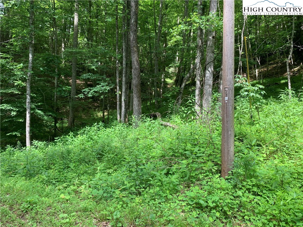 2558 Sink Valley Road Butler, TN 37640 - Photo 10 of 17 Gallery Image 10