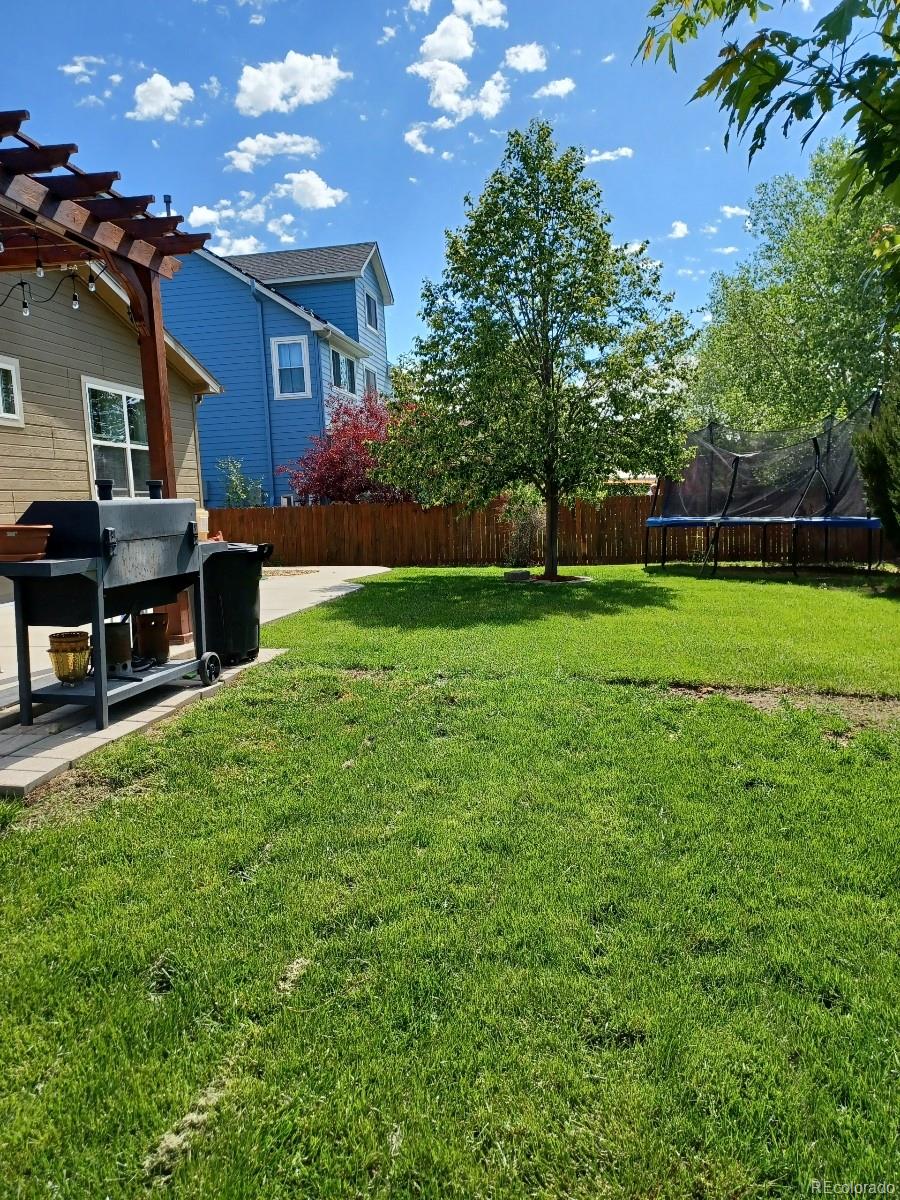8080 Raspberry Drive Frederick, CO 80504 - Photo 25 of 29 a view of a house with a backyard