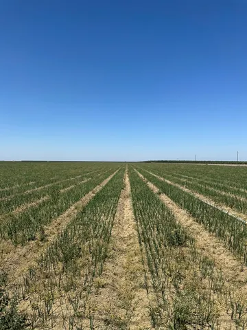a view of beach and ocean