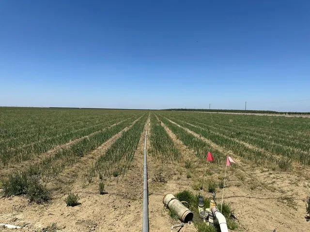 a view of a outdoor space